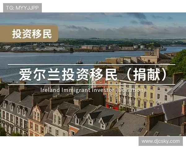 爱尔兰企业家移民政策解析